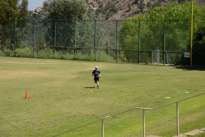 DSC_3874 (Large).JPG